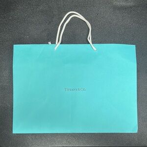 Tiffany & Co. Blue Paper Bag with Rope Handles